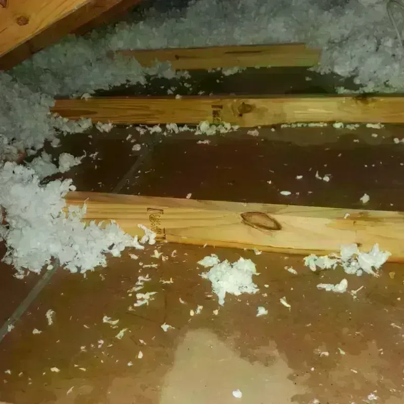 Attic Water Damage in North Terre Haute, IN